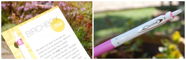 Birchbox Review