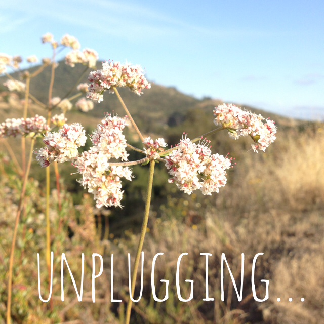 unplug