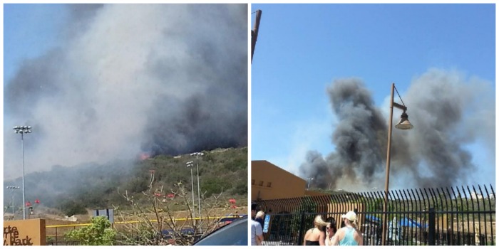 Poinsettia Fire Alga Norte Park Carlsbad